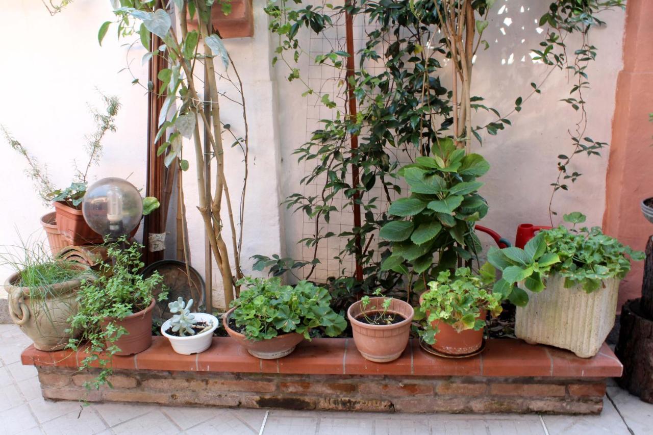 Porta Del Carmine Bed & Breakfast Comacchio Dış mekan fotoğraf